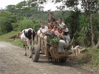 Costa Rica oxcart